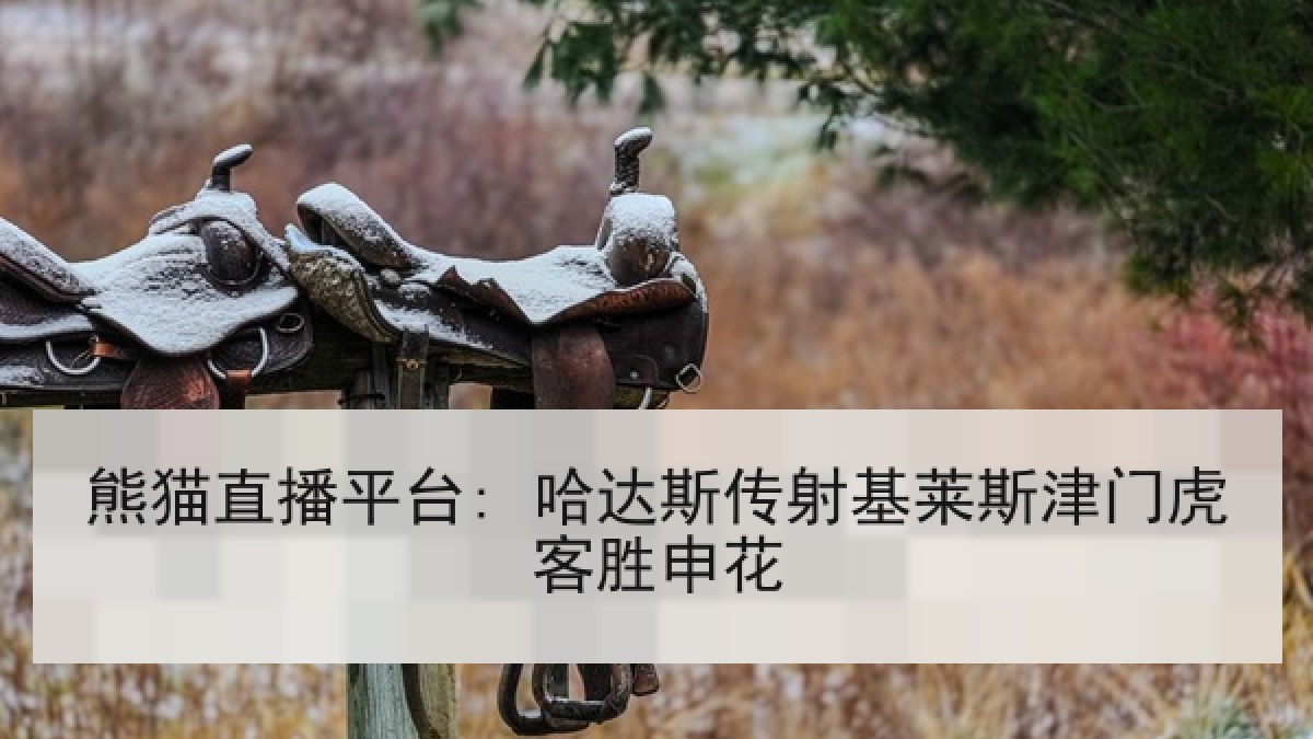 熊猫直播平台: 哈达斯传射基莱斯津门虎客胜申花 熊猫直播平台: 哈达斯传射基莱斯津门虎客胜申花